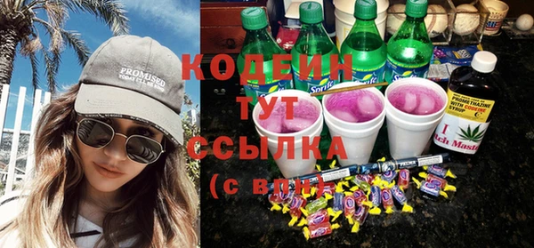 прущие грибы Дмитров