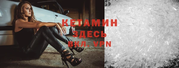 прущие грибы Дмитров