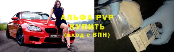прущие грибы Дмитров