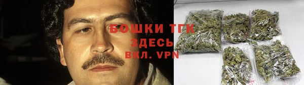 прущие грибы Дмитров