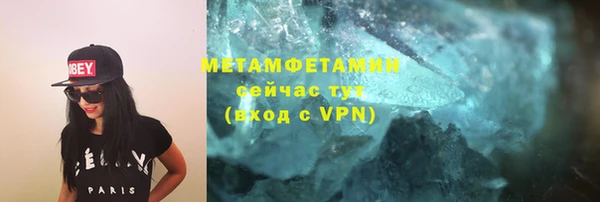прущие грибы Дмитров