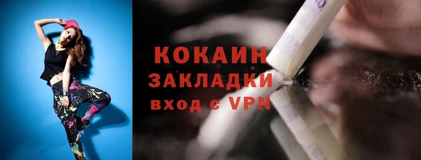 прущие грибы Дмитров