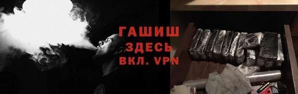 прущие грибы Дмитров