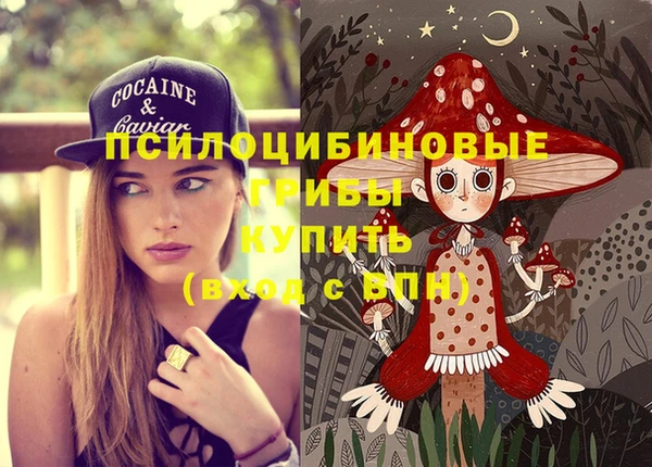 трава Дмитриев