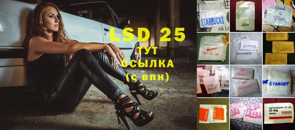 прущие грибы Дмитров
