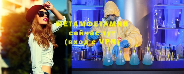 прущие грибы Дмитров