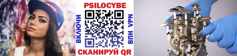 Купить где  Кимовск  Псилоцибиновые грибы мухоморы 
